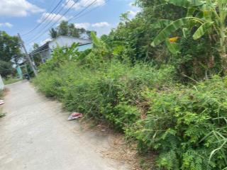 Bán đất đẹp 649.3m2 full thổ cư  trung tâm thanh vĩnh đông mặt tiền hơn 32m nở hậu chỉ 4 tỷ