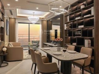 Sở hữu nhà rước luôn xe vf3, studio view triệu đô, giá chỉ 2 tỷ 825 không phát sinh