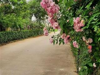 Villa khu đẹp cô giang vị trí đáng sống của đà lạt