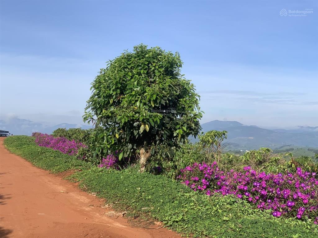 Bán 1065m2 đất nam hà ven đà lạt, view đẹp, sẵn thổ cư, ngay khu dân cư hiện hữu