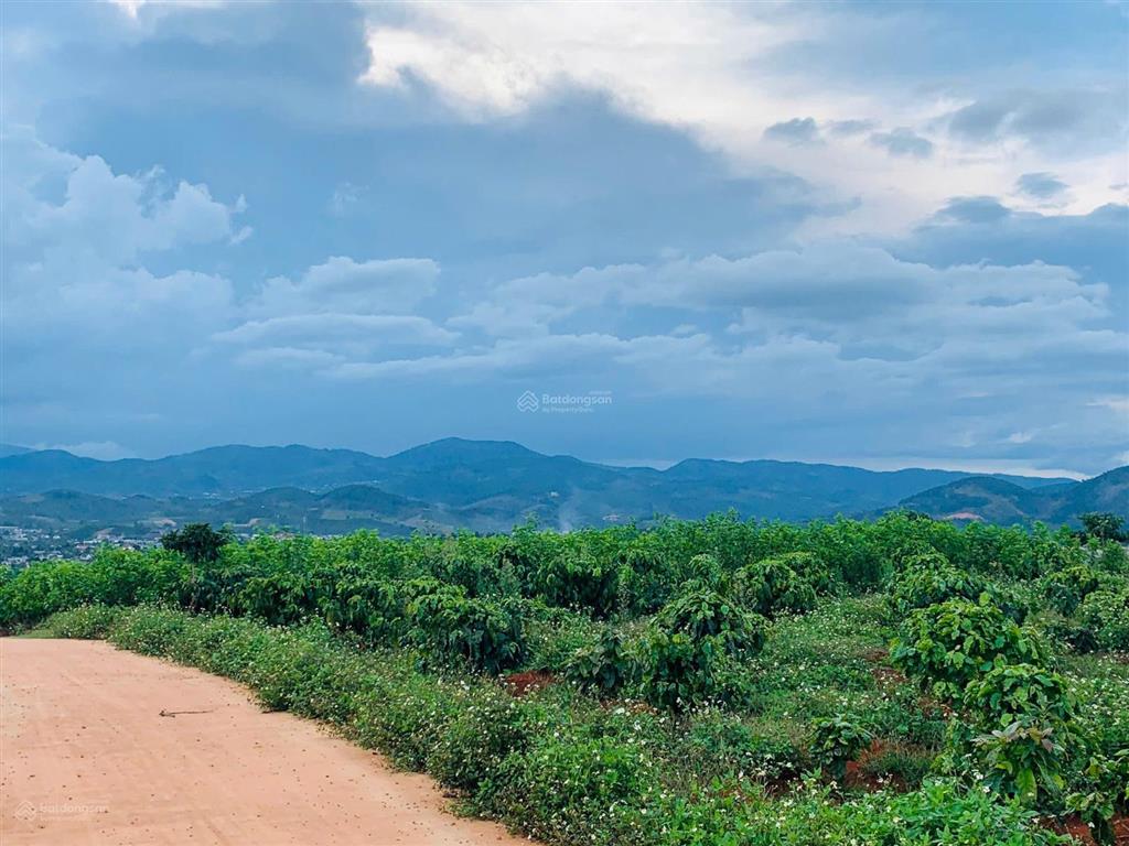 Bán đất xã đông thanh, lâm hà 550m2 đất thổ cư, view đẹp, có suối sau đất, ngay khu dân cư hiện hữu