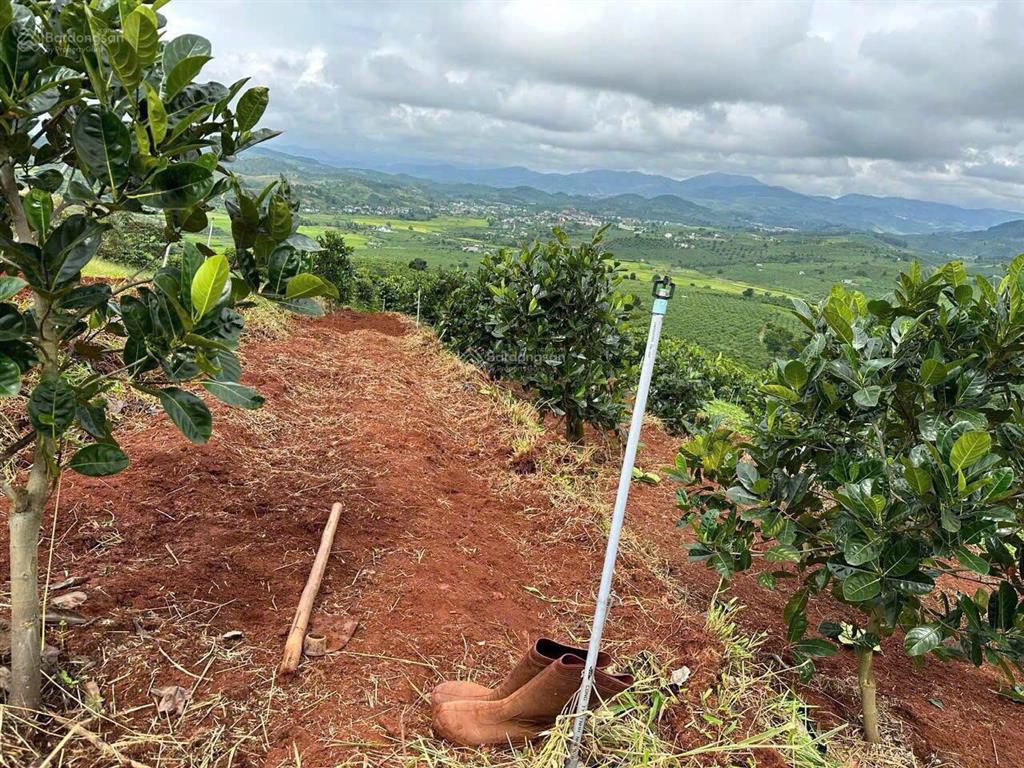 Bán đất tại nam hà, sẵn vườn trái cây giá 5,28 tỷ, 3200 m2 sổ hồng riêng, sẵn thổ cư, view cực đẹp
