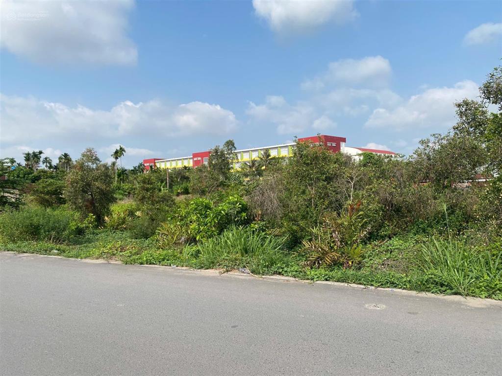 2527m2 (41 x 67m) đất trồng cây mặt tiền đường tx44 sát bên trường cấp 2 tô ngọc vân