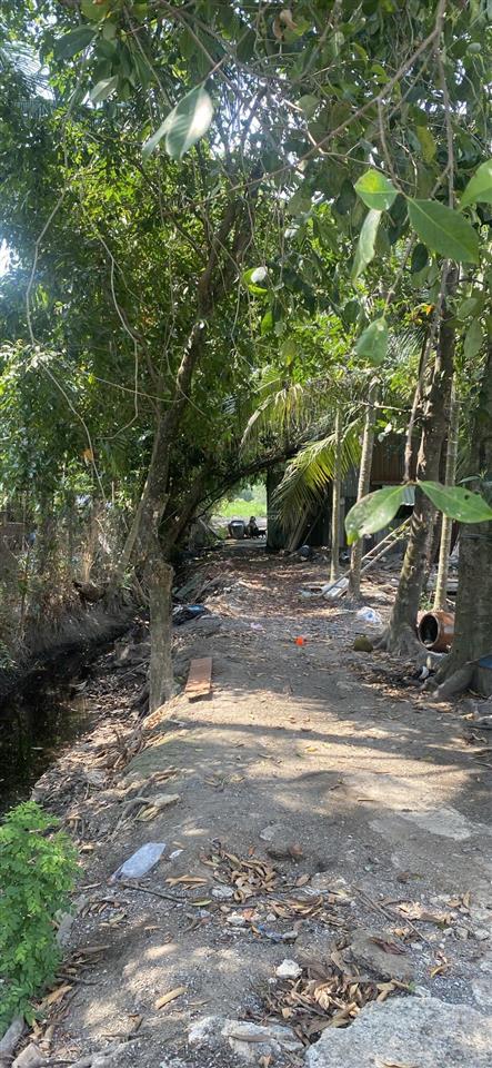 Đất trồng cây 33 x 69m 1/ sông vàm thuật vào 40m, quy hoạch khu hỗn hợp, gần bến xe buýt tx52
