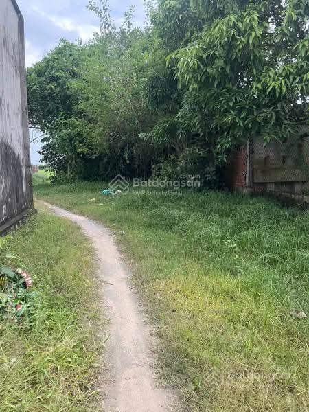 Đất 5 x 36m xã mỹ hạnh. giá 580 triệu . 0932 682 ***