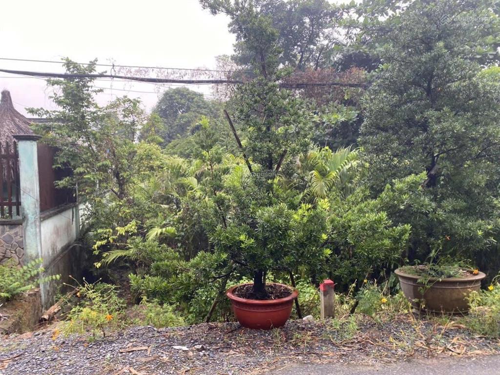 Bán đất mặt tiền tl43, dt 10 x 40m đất trồng cây hn, vị trí mặt tiền đường rạch tl43 thông