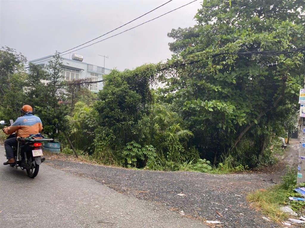 Bán đất mặt tiền tl43, dt 10 x 40m đất trồng cây hn, vị trí mặt tiền đường rạch tl43 thông