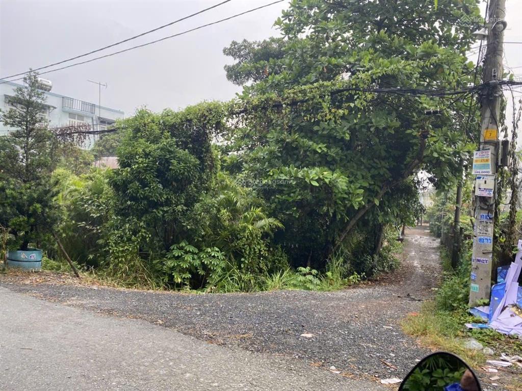 Bán đất mặt tiền tl43, dt 10 x 40m đất trồng cây hn, vị trí mặt tiền đường rạch tl43 thông