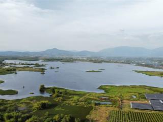 Bán 5.5ha đất cây trồng xã hàm cường, htn 950tr/ha