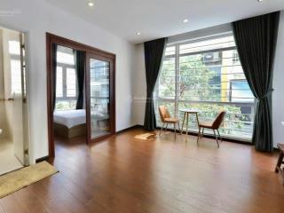 Căn hộ 1pn cao cấp gần thảo cầm viên, cv lê văn tám, đakao, quận 1