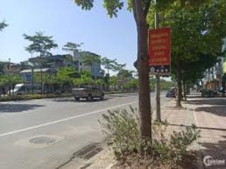 Bán nhà mặt phố ngô gia tự  124m², mặt tiền 5m, kinh doanh sầm uất