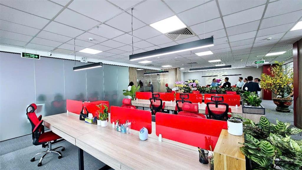 Cho thuê hxt! nguyễn gia trí phường 25 quận bình thạnh