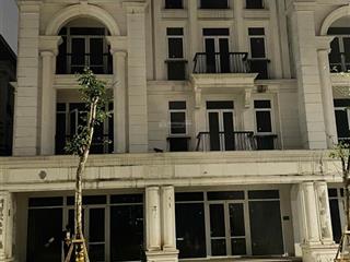 Cho thuê cặp đôi louis đại mỗ diện tích 240m² giá 100 triệu/tháng hợp đồng lâu dài