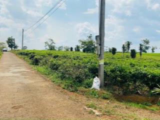 Chính chủ bán đất lộc an, huyện bảo lâm, t lâm đồng