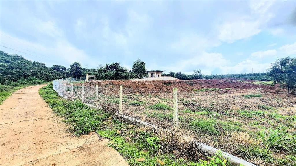 Cần bán mảnh vườn 9.734m2, view đỉnh cao, có đất ở, có nhà đẹp, đã hoàn thiện hạ tầng, rào, cổng