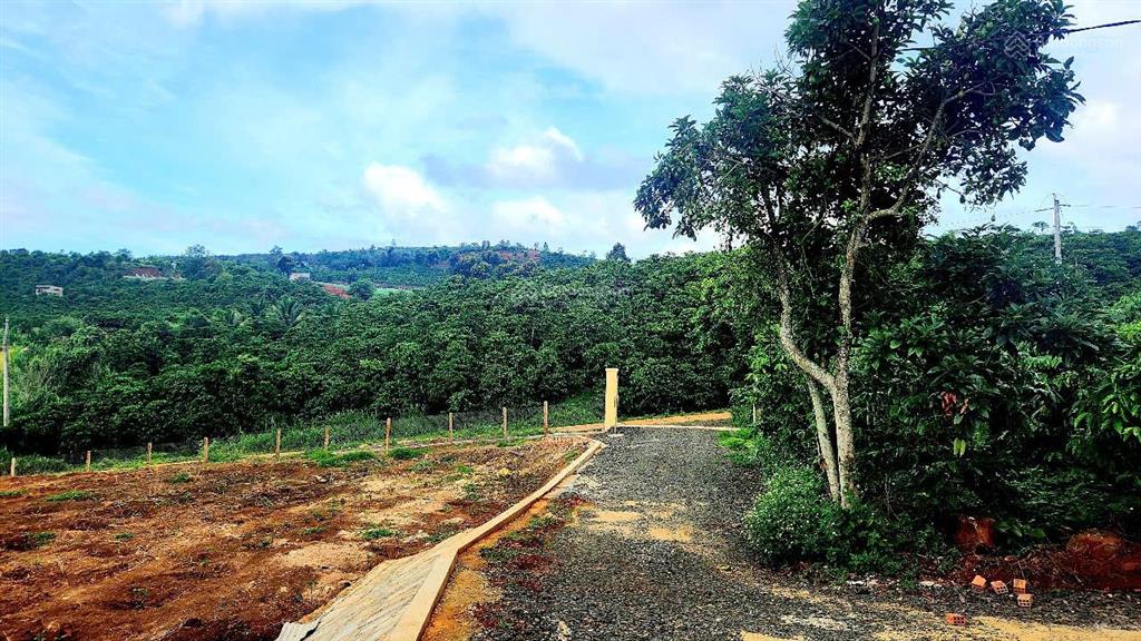 Cần bán mảnh vườn 9.734m2, view đỉnh cao, có đất ở, có nhà đẹp, đã hoàn thiện hạ tầng, rào, cổng