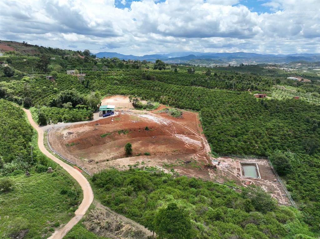Cần bán mảnh vườn 9.734m2, view đỉnh cao, có đất ở, có nhà đẹp, đã hoàn thiện hạ tầng, rào, cổng