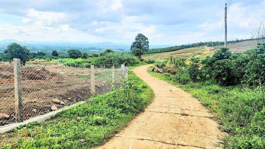 Cần bán mảnh vườn 9.734m2, view đỉnh cao, có đất ở, có nhà đẹp, đã hoàn thiện hạ tầng, rào, cổng