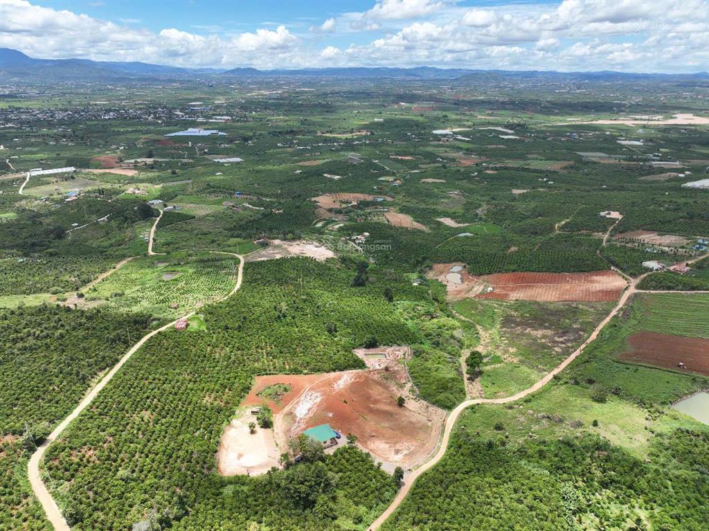 Cần bán mảnh vườn 9.734m2, view đỉnh cao, có đất ở, có nhà đẹp, đã hoàn thiện hạ tầng, rào, cổng