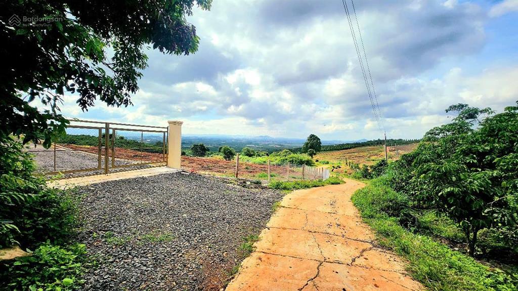 Cần bán mảnh vườn 9.734m2, view đỉnh cao, có đất ở, có nhà đẹp, đã hoàn thiện hạ tầng, rào, cổng