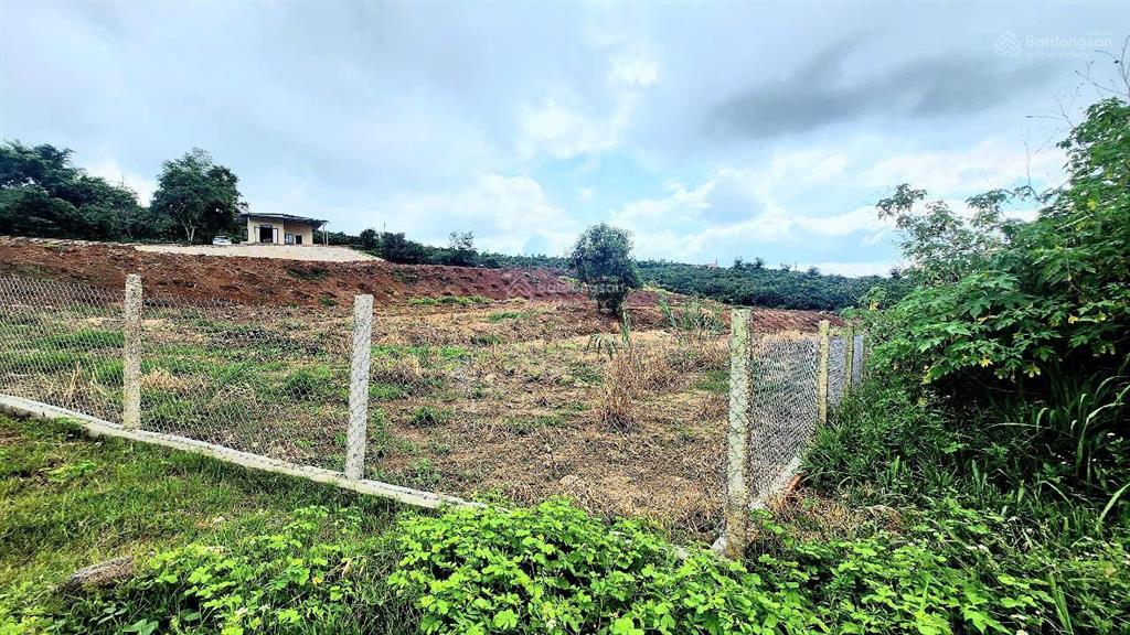 Cần bán mảnh vườn 9.734m2, view đỉnh cao, có đất ở, có nhà đẹp, đã hoàn thiện hạ tầng, rào, cổng