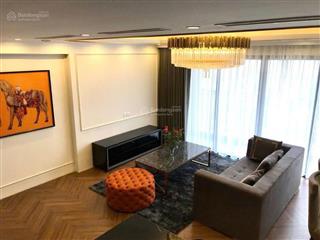 Căn góc hiếm có tại vinhomes d'capitale 3 ngủ, dt 113m2, tầng trung view big c thoáng, full đồ đẹp