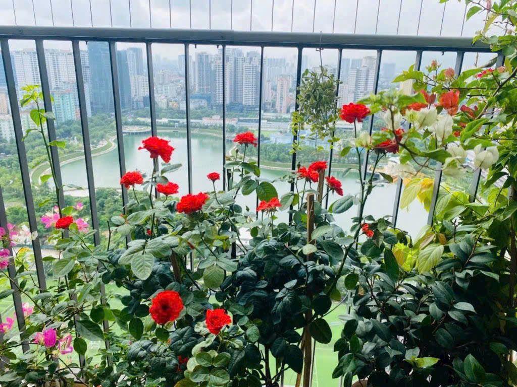 Cần bán gấp căn hộ VIEW HỒ tại Vinhomes D'Capitale tòa C6, giá tốt