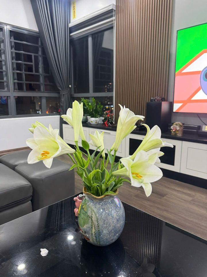 Bán căn hộ 3PN-124m2 tầng trung tại Mulberry Lane, có slot oto, giá 8.x tỷ