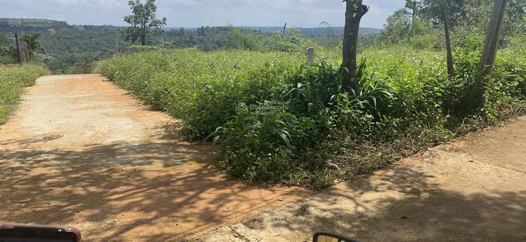 Bán đất 522m2 (sẵn 100m2 thổ cư) tại xã đắk wer, dăk r'lấp, đắk nông, giá ưu đãi 550 triệu