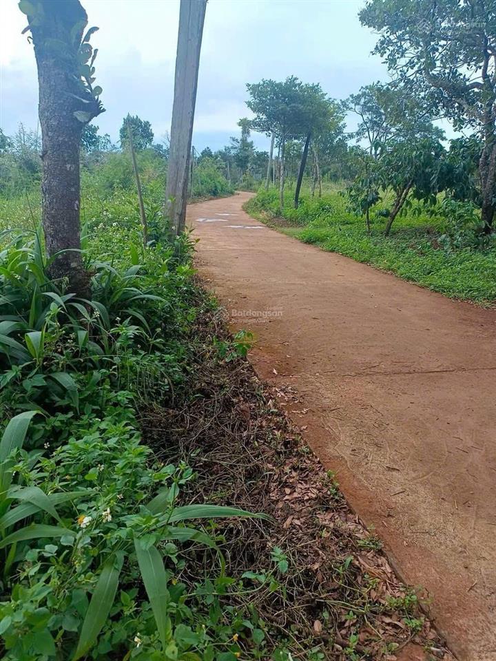 Bán đất 522m2 (sẵn 100m2 thổ cư) tại xã đắk wer, dăk r'lấp, đắk nông, giá ưu đãi 550 triệu