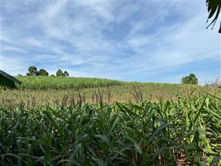 Chính chủ bán đất nghỉ dưỡng  đầu tư cao phong, hòa bình  thế đất đẹp, 2 mặt đường, gần hồ