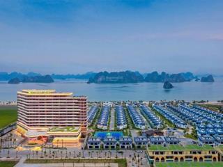 Căn sh view biển giá chỉ 6.1 tỷ/căn chỉ bằng căn chung cư hn, phiên bản giới hạn, khai thác tốt.