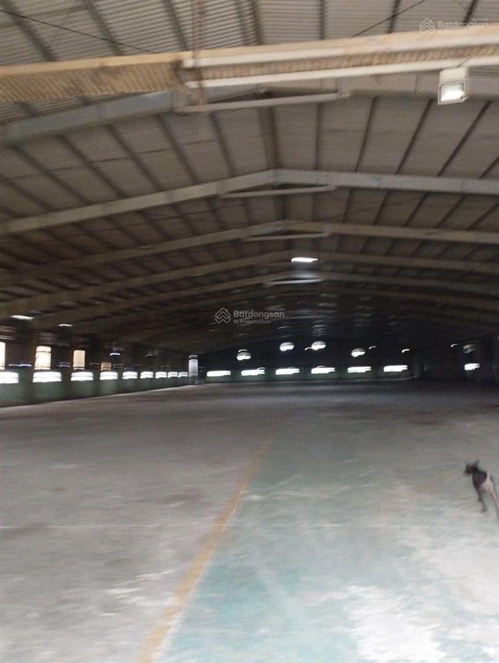 Cho thuê nhà xưởng kcn tân đức đức hoà 9261m2 và 4589m2, đầy đủ các tiện ích, đường xe cont 24/24
