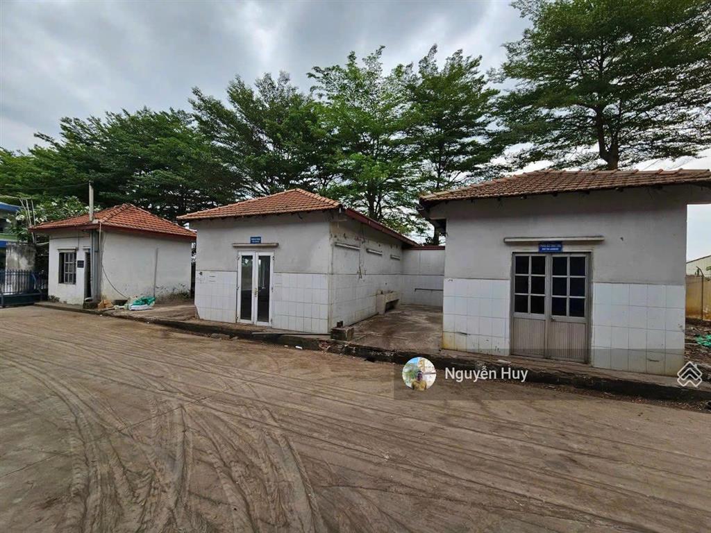 Cho thuê kho xưởng 6000m2 cơ sở hạ tầng đầy đủ đường tỉnh lộ 835, phước lợi, long an