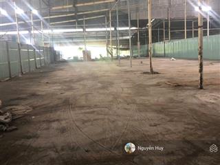 Cho thuê kho, nhà xưởng tại xã hướng thọ phú, tân an, long an, 40 nghìn/m2/th, 40000m2