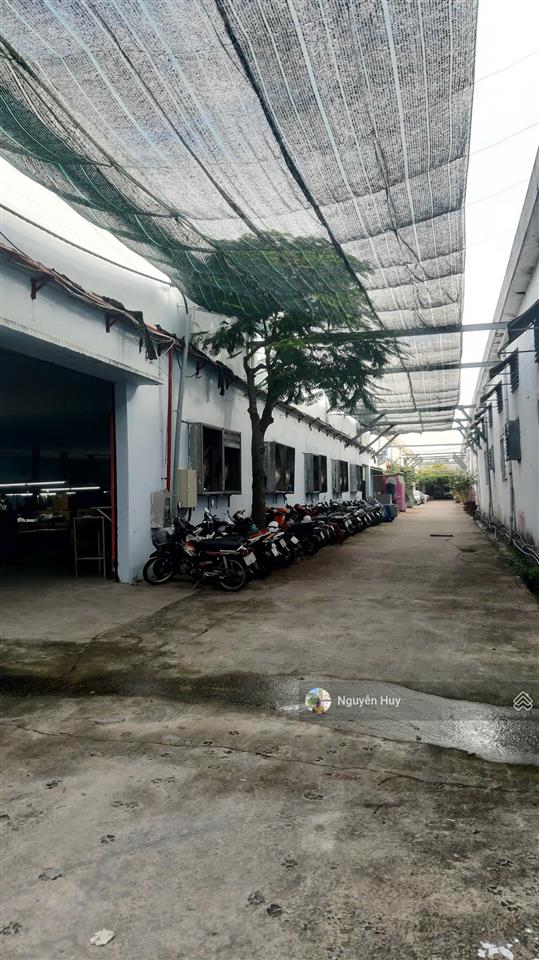 Cho thuê kho, nhà xưởng 1300m2 tại đường tỉnh lộ 10, bình trị đông, bình tân, 104 triệu