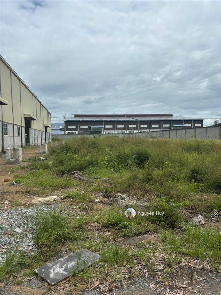 Cho thuê xưởng lương bình, bến lức, dt khuôn viên 20000m2 có 4 block xưởng mỗi block 2.800m²
