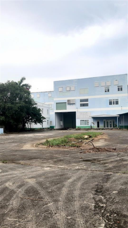 Cho thuê xưởng 10.500m² + vp 1.000m² mỹ yên bến lức, pccc tự động, giá 910tr/th