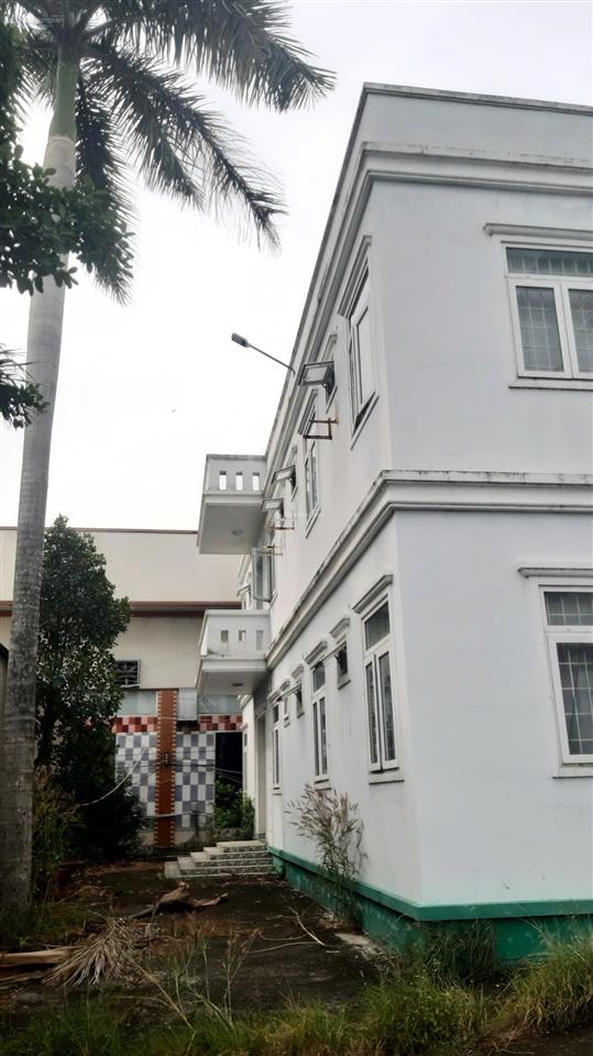 Cho thuê xưởng 10.500m² + vp 1.000m² mỹ yên bến lức, pccc tự động, giá 910tr/th
