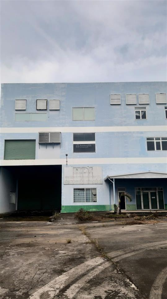 Cho thuê xưởng 10.500m² + vp 1.000m² mỹ yên bến lức, pccc tự động, giá 910tr/th
