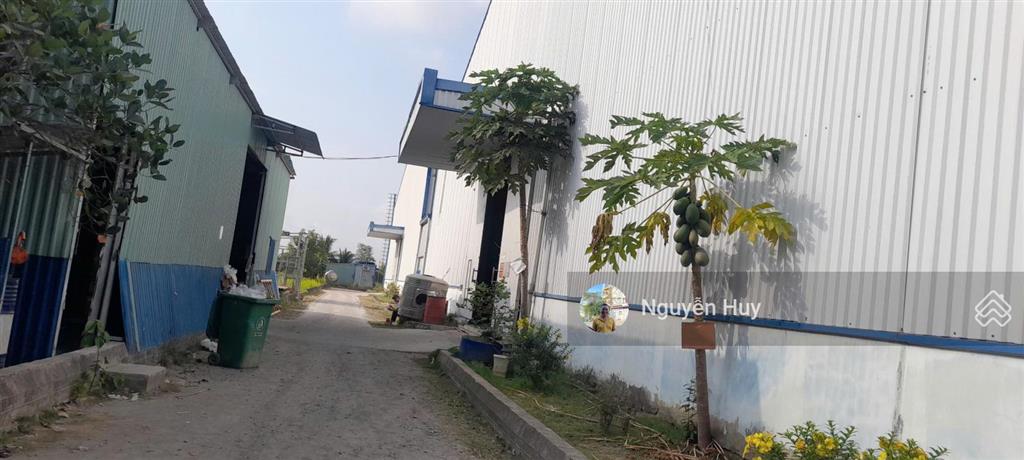 Cho thuê kho 11.000m², quốc lộ 50, cần giuộc long an pccc, cont 40ft.  0909 913 ***