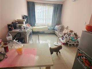 Siêu phẩm topaz elite, 60m2, 2pn, 2wc nhà full nt đẹp, giá 3,55 tỷ.  0936 266 *** ms xinh.