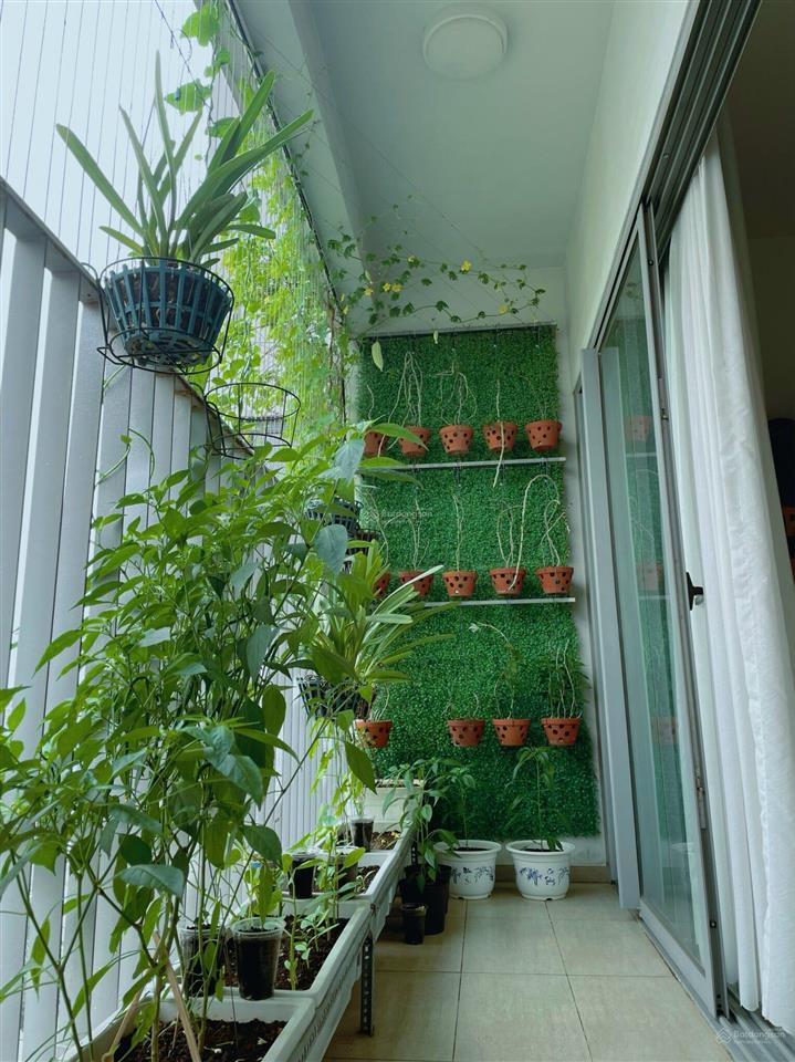 Bán gấp căn hộ 1pn + 1. dt 55m2 hausneo giá 3.4 tỷ, full nội thất  0908 005 ***