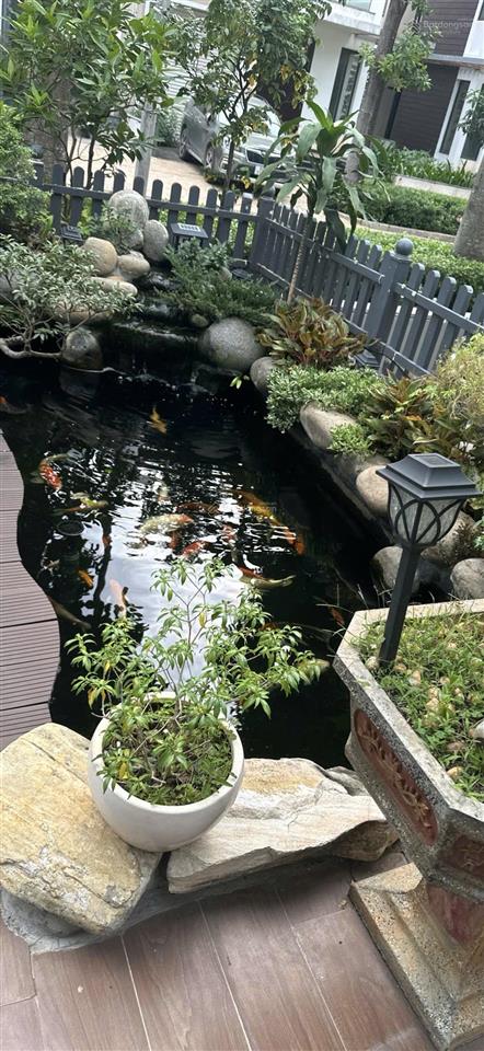 Lucasta villa dt 205m2. nhà hoàn thiện có hồ cá koi đẹp. sân vường rộng.sổ sẵn. giá 27.5 tỷ