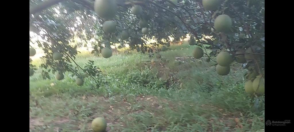Bán đất tại đường hương lộ 9, xã tân bình, vĩnh cửu, đồng nai, giá tốt 3,5 tỷ, 1100 m2