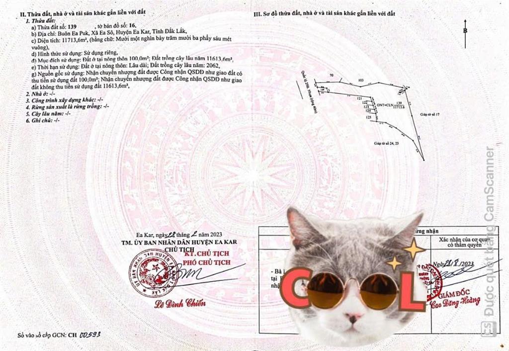 Gần 1,2ha mt quốc lộ 29, daklak. giá chưa đến 170tr/sào. thích hợp làm kho, xưởng.  