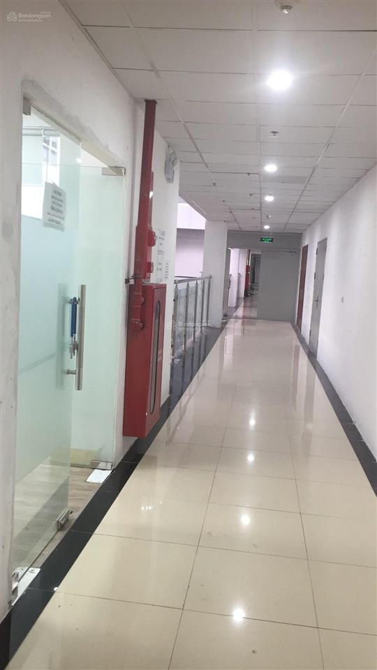Nhỉnh 200ng/m2 có văn phòng sang xịn 71m2, vị trí cực đẹp tại căn 206 chung cư hvqp, kđt tây hồ tây