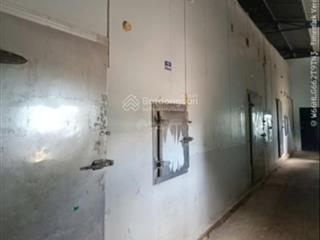 Cho thuê nhà xưởng chế biến thủy hải sản tại xã phước đồng, thành phố nha trang