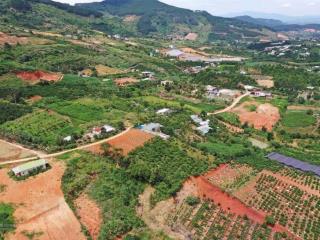 Đất ngộp bán nhanh 3764m2 đông thanh, lâm hà, lâm đồng
