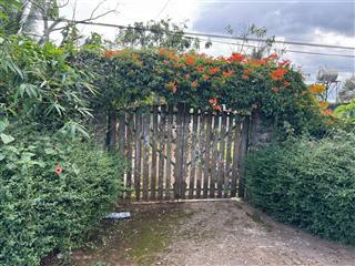 Bán nhà đẹp sân vườn cực chill mặt tiền nhựa tân thành , tân hội đức trọng lâm đồng